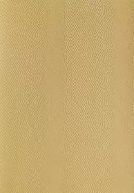 Kreativní karton - hadí kůže Folia - Bringmann