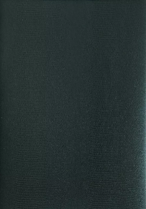 Kreativní karton - hadí kůže - tmavě zelená Folia - Bringmann