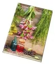 Záznamová kniha A5, mix - bylinky Papírny Brno