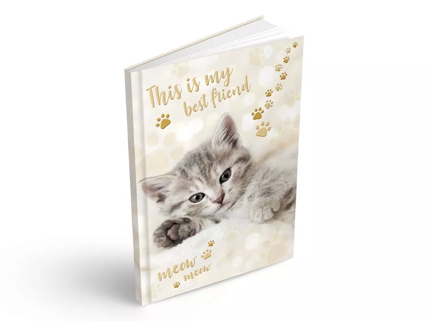 Záznamová kniha A5, kotě MFP paper s.r.o.