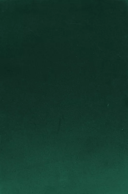 Pěnová guma Moosgummi 20 x 30 cm - zelená