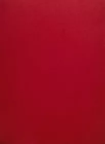 Pěnová guma Moosgummi