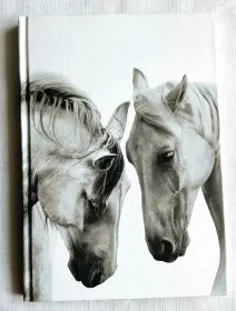 Záznamová kniha A5, koně