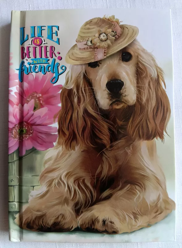 Záznamová kniha A6, mix JUNIOR papír s.r.o.