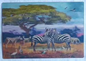 Pohled 3D - zvířata