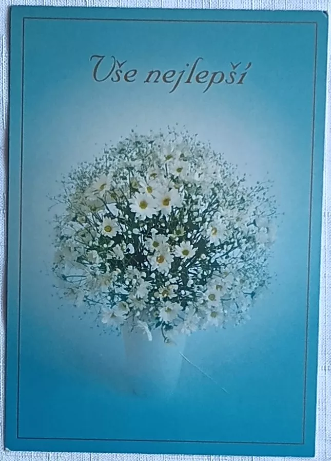 Pohlednice - květiny DITIPO