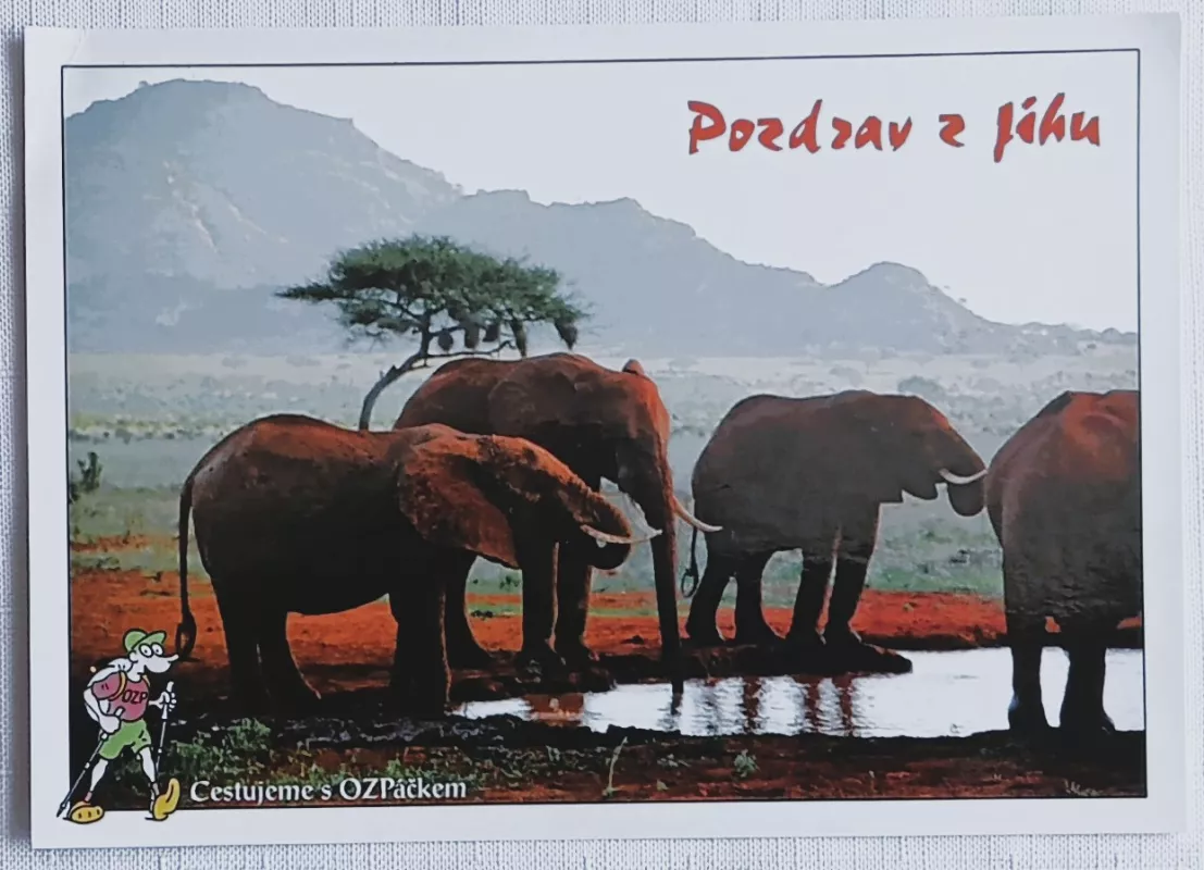 Pohlednice - zvířata Afriky - Pozdrav z jihu MFP paper s.r.o.