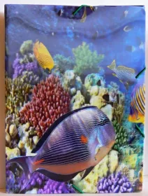 Box na sešity A4 efekt 3D Reas - Pack s.r.o. Box na sešity A4 efekt 3D Reas - Pack s.r.o.