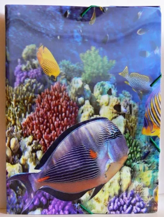 Box na sešity A4 efekt 3D - Mořský svět Reas - Pack s.r.o.