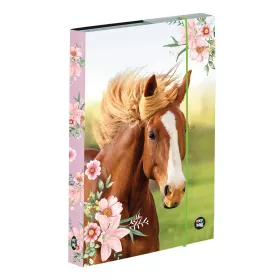 Box na sešity A5 JUMBO Oxybag Box na sešity A5 JUMBO Oxybag