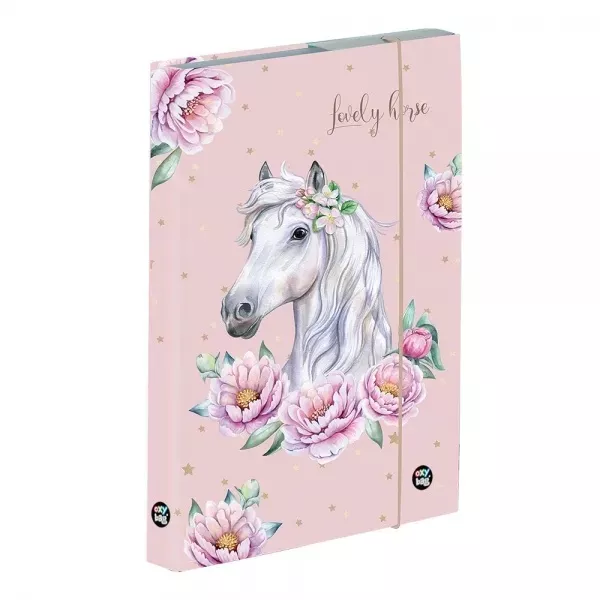 Box na sešity A5 JUMBO - Kůň romantic Oxybag